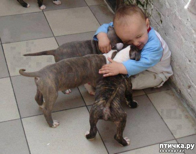 ���� 12: ���������� � �����������.