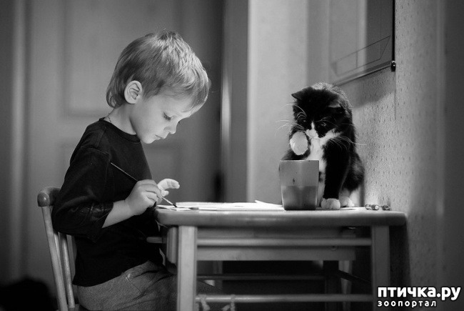 ���� 13: ���������� � �����������.