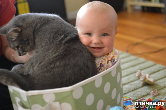 ���� 15: ���������� � �����������.