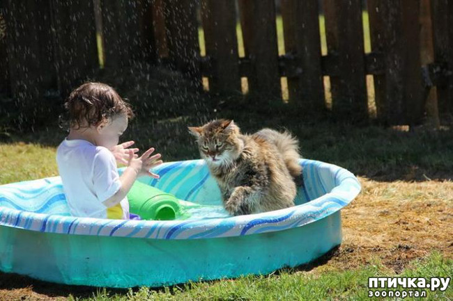 ���� 16: ���������� � �����������.