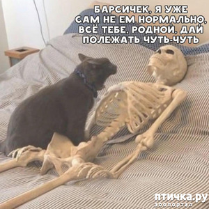 ����: �o��a co�ep���� �o�a