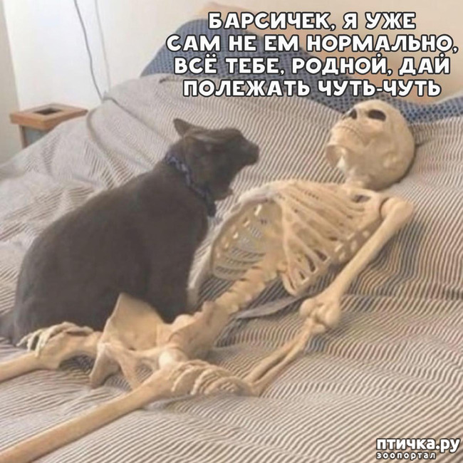 ���� 1: �o��a co�ep���� �o�a