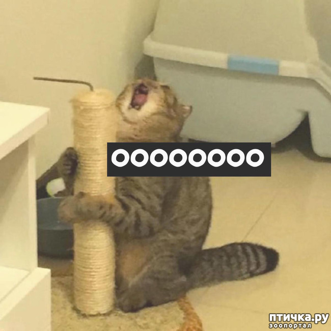 ���� 3: �o��a co�ep���� �o�a