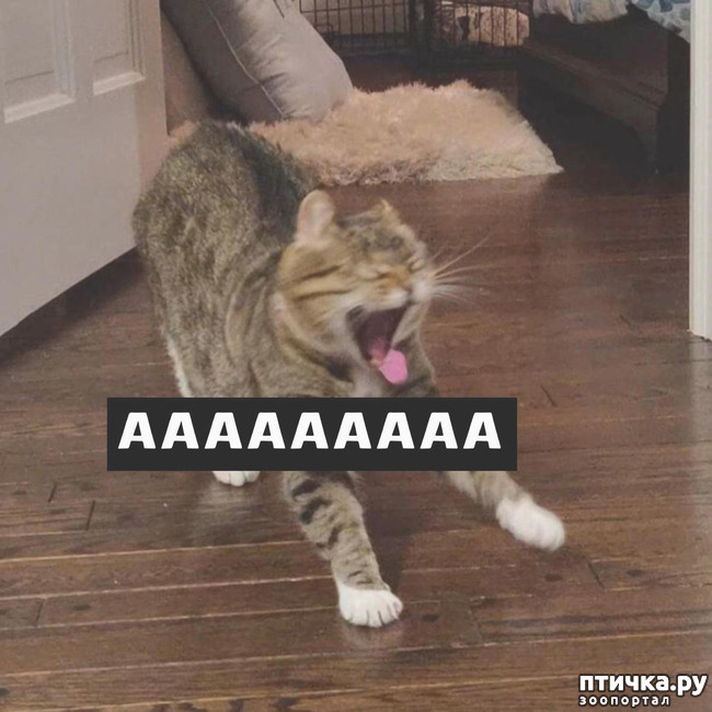 ���� 4: �o��a co�ep���� �o�a