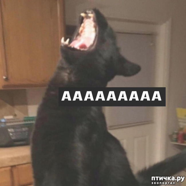 ���� 5: �o��a co�ep���� �o�a