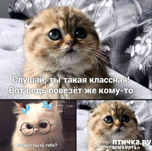 ����: ����� ���� ������� �������� �����