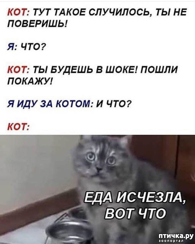 ���� 1: ��� �������, ��� ���