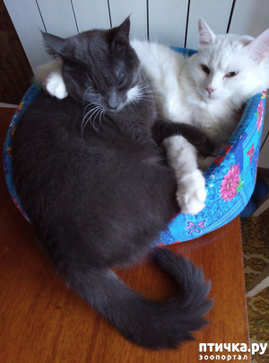 ����: �� �� ����, �� �� �����