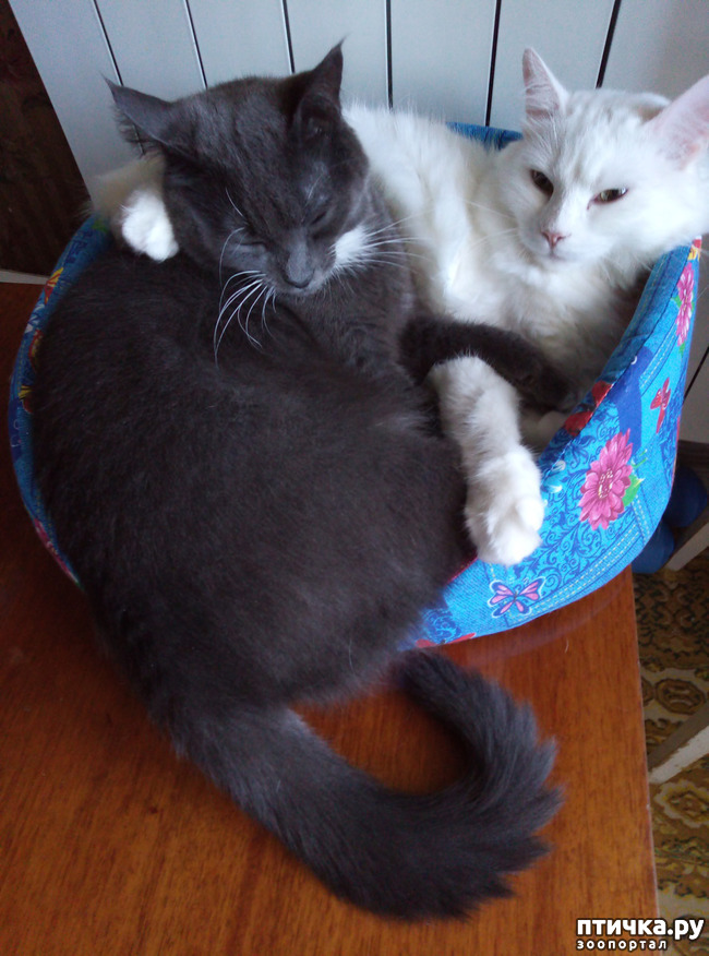 ���� 1: �� �� ����, �� �� �����