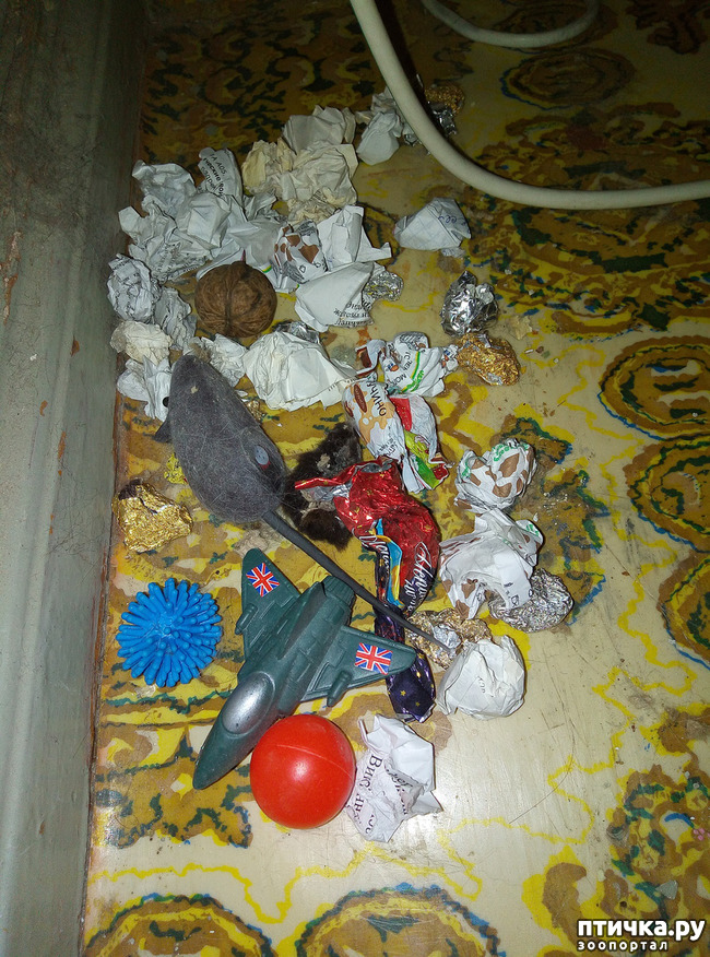 ���� 2: �� �� ����, �� �� �����