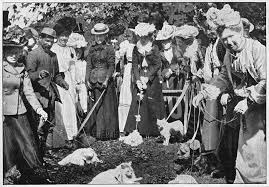 ���� 4: ���������� �����