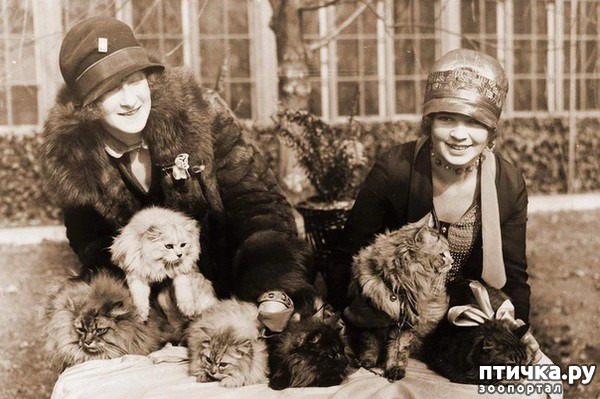 ���� 5: ���������� �����