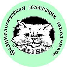 ���� 6: ���������� �����