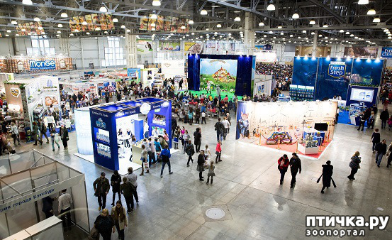 ���� 7: ���������� �����