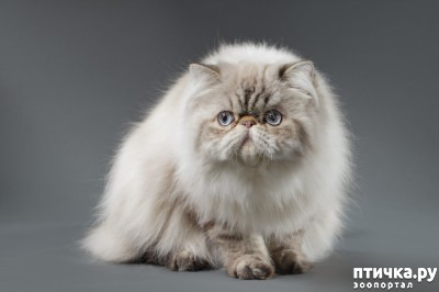 ���� 8: ���������� �����