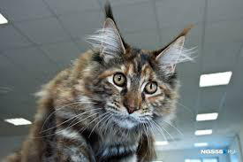 ���� 9: ���������� �����