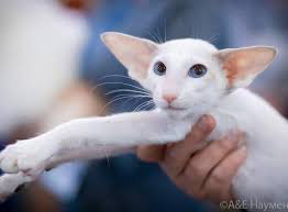 ���� 10: ���������� �����