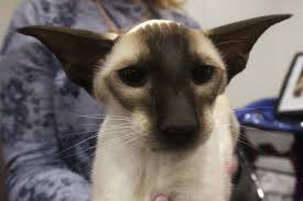 ���� 15: ���������� �����