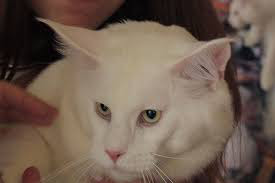 ���� 16: ���������� �����