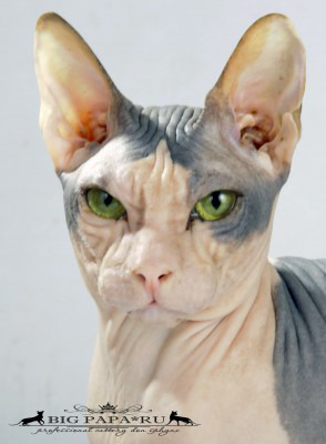 ���� 18: ���������� �����