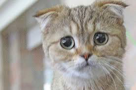 ���� 19: ���������� �����