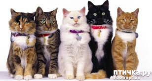 ���� 20: ���������� �����