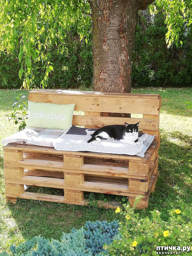 ���� 1: ������� ���� ����� � ����