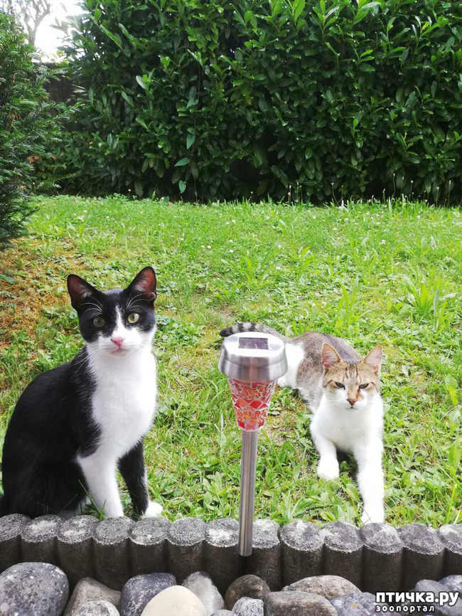 ���� 2: ������� ���� ����� � ����