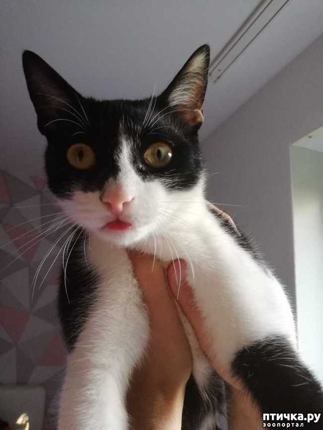 ���� 3: ������� ���� ����� � ����