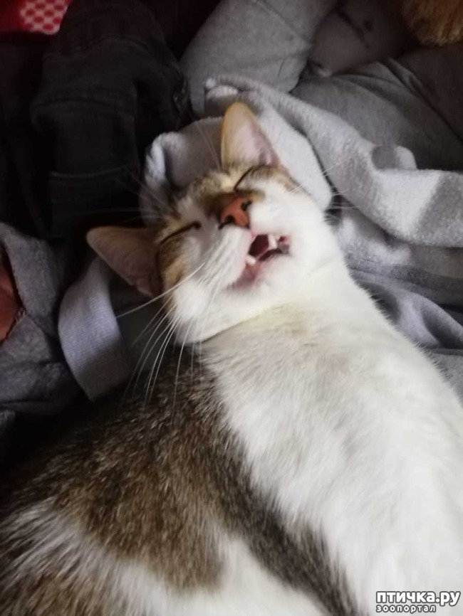 ���� 4: ������� ���� ����� � ����