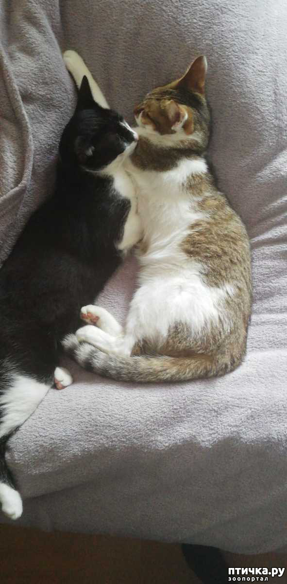 ���� 5: ������� ���� ����� � ����