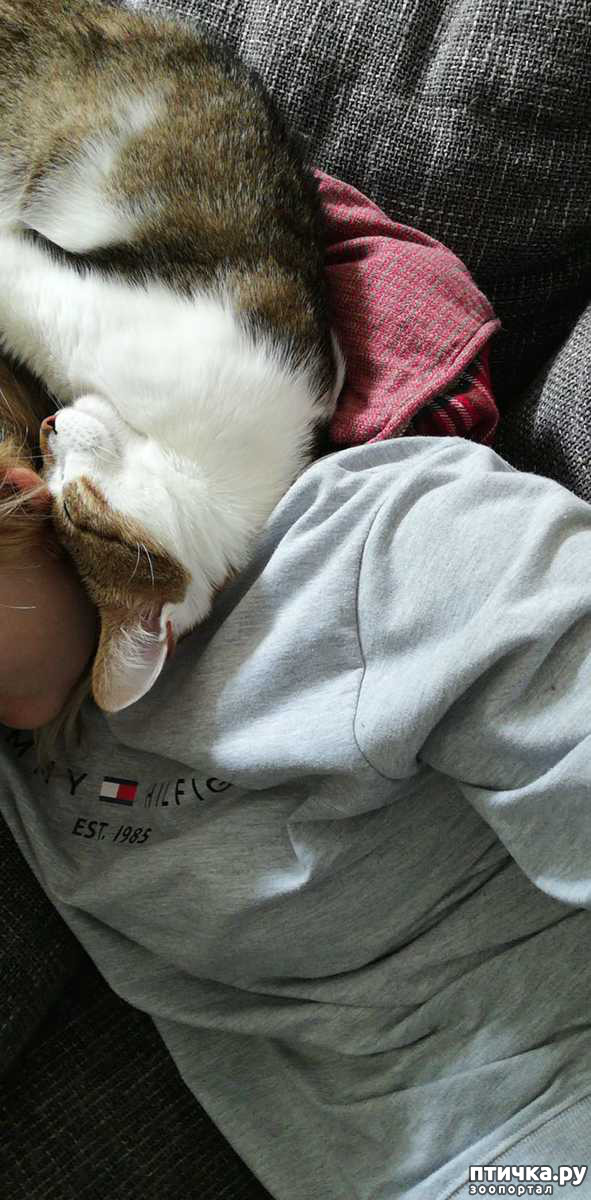 ���� 6: ������� ���� ����� � ����