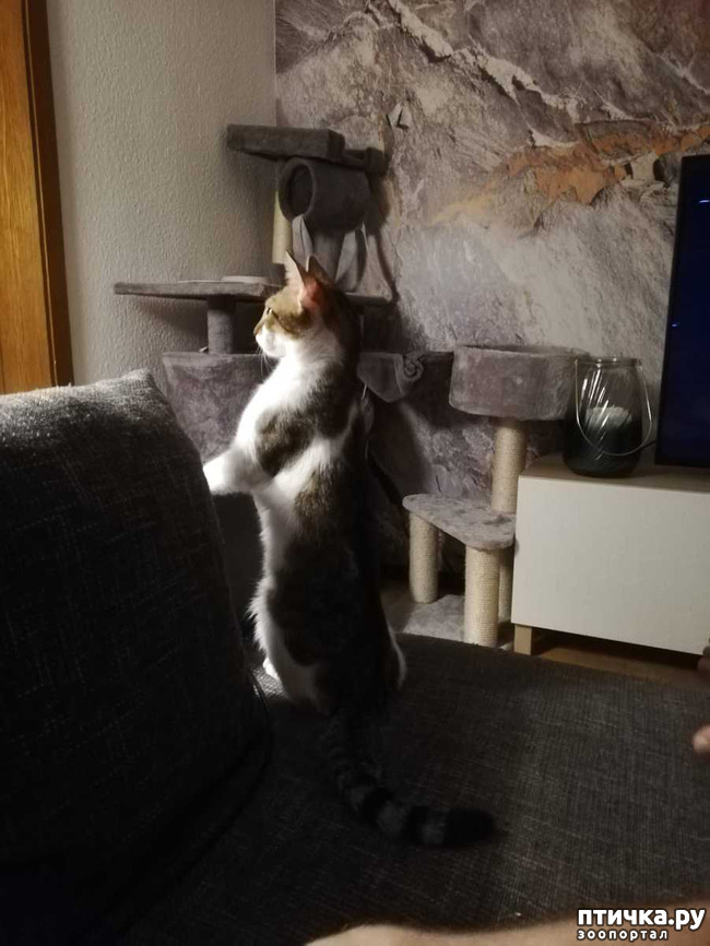 ���� 7: ������� ���� ����� � ����