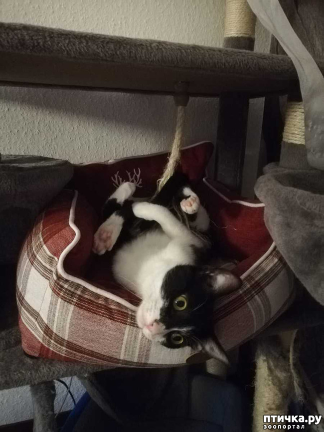 ���� 8: ������� ���� ����� � ����