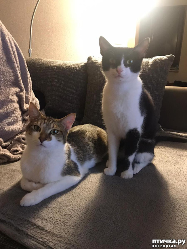 ���� 9: ������� ���� ����� � ����