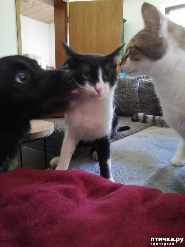 ���� 13: ������� ���� ����� � ����