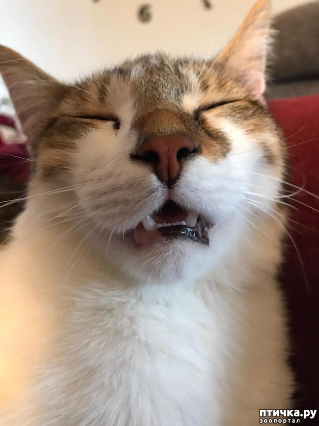 ���� 14: ������� ���� ����� � ����