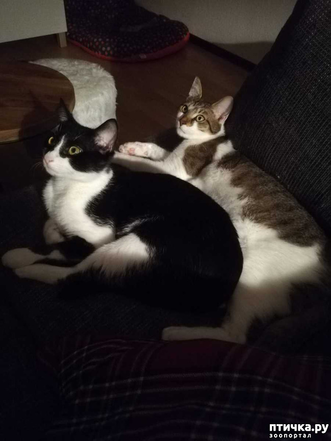 ���� 15: ������� ���� ����� � ����