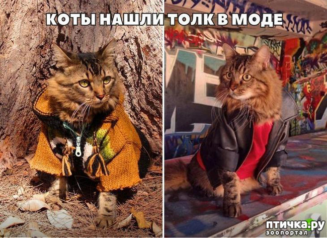 ���� 2: ����� � ����... ( ������? )