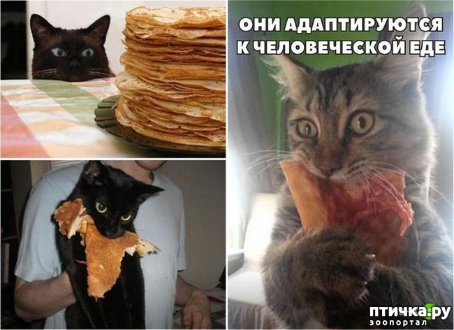 ���� 3: ����� � ����... ( ������? )