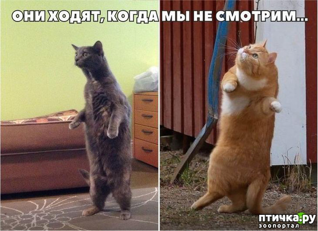 ���� 5: ����� � ����... ( ������? )