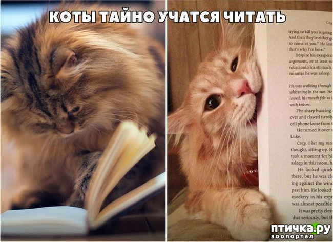 ���� 6: ����� � ����... ( ������? )