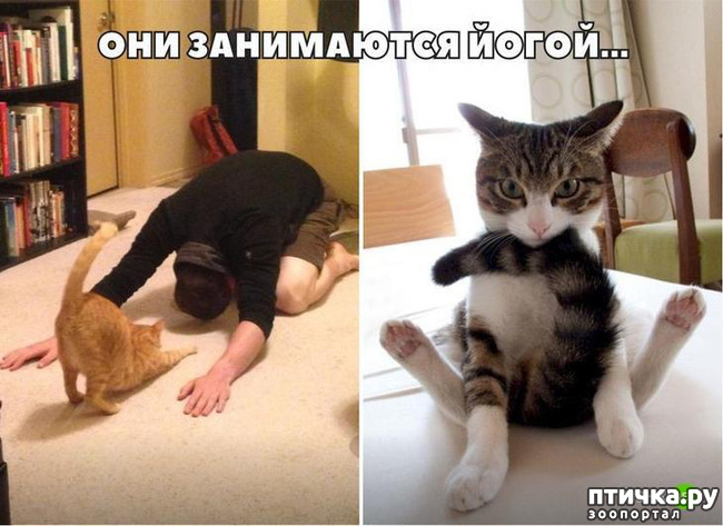 ���� 7: ����� � ����... ( ������? )