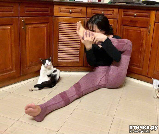 ���� 8: ����� � ����... ( ������? )