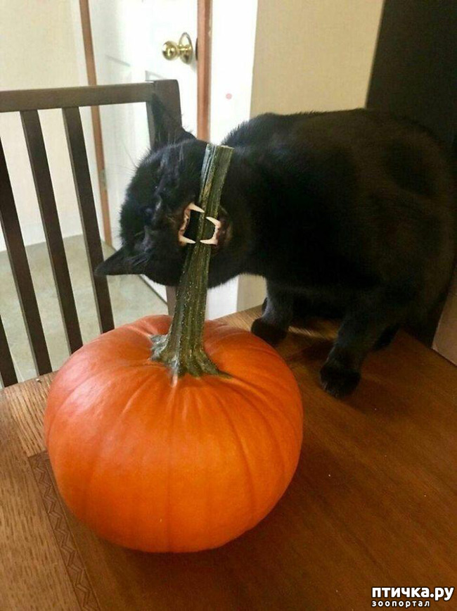 ���� 10: ����� � ����... ( ������? )