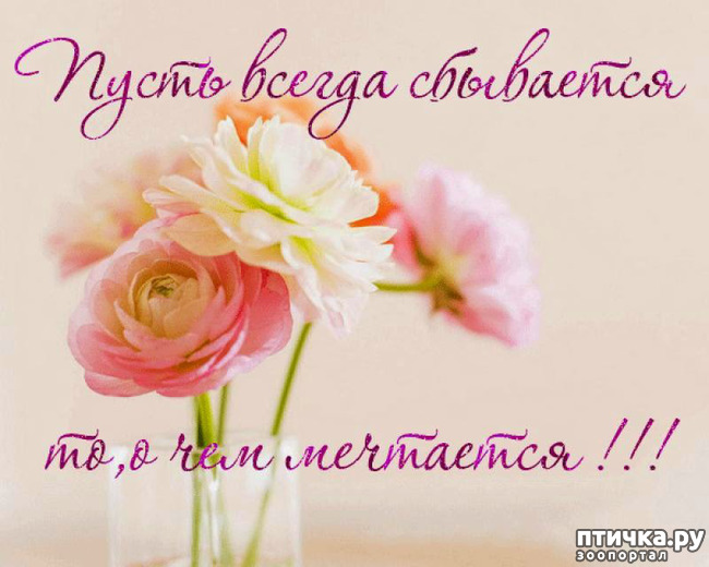 ���� 11: ����� � ����... ( ������? )