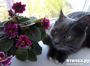 ����: ������ � ��������