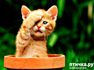 ����: ����� ���������� ������ �� �����