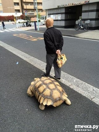 ���� 2: ����� ���������� ������ �� �����