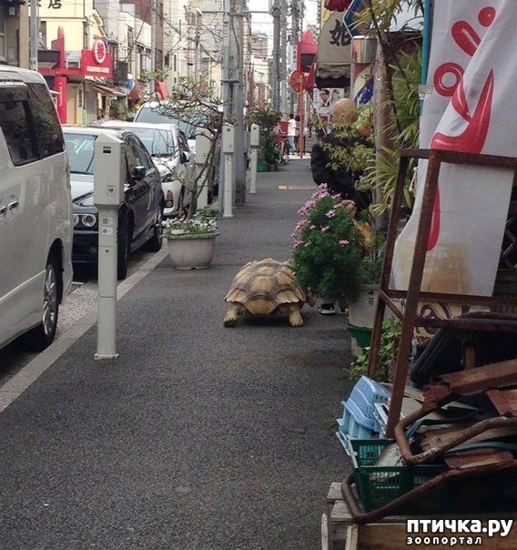 ���� 3: ����� ���������� ������ �� �����